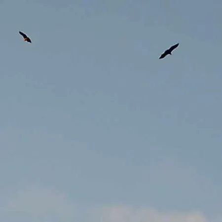 Con Encanto En Arribes Abuelo *