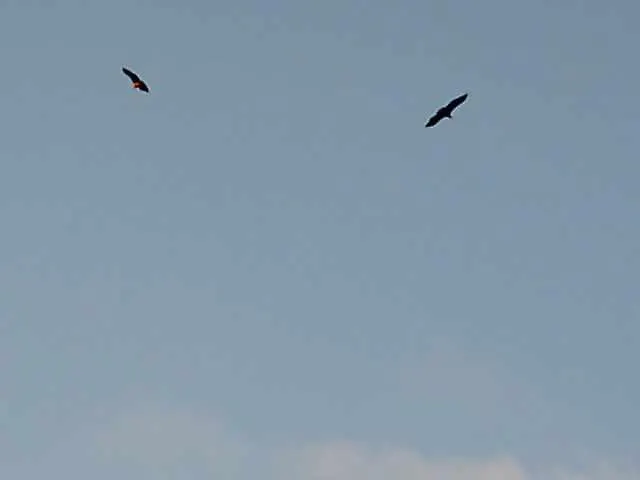 Con Encanto En Arribes 